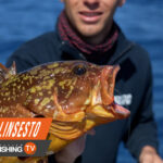 Le novità in programmazione!